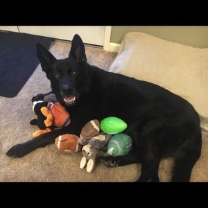 Meet your Posher, Deborah